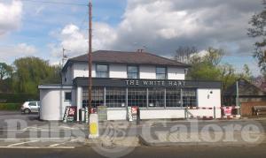Picture of The White Hart