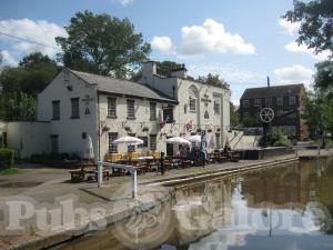 Picture of The Shroppie Fly