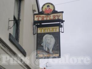Picture of White Lion