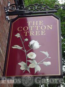Picture of The Cotton Tree