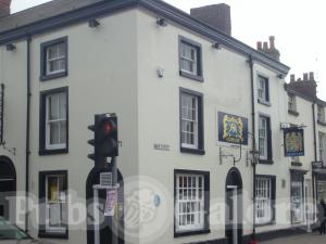 Picture of The Golden Lion