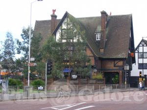 Picture of The Tree House