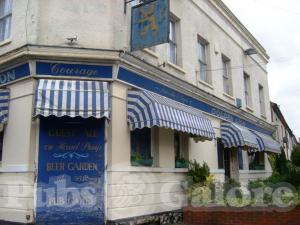 Picture of Golden Lion