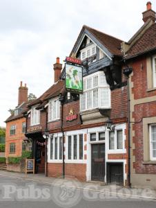 Picture of The Cricketers