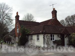Picture of Surrey Oaks