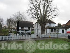 Picture of The Cricketers
