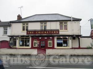 Picture of The Cricketers