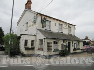 Picture of The Cricketers