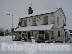 Picture of The Cricketers