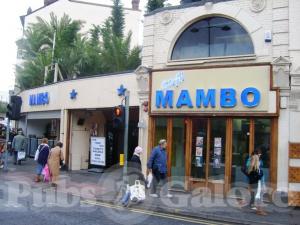 Picture of Bar Mambo