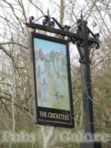 Picture of The Cricketers