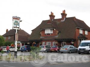 Picture of Royal Oak