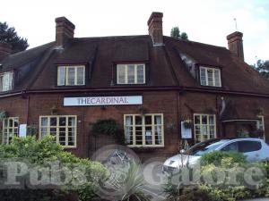 Picture of The Cardinal Peppe