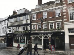 Picture of Druids Head