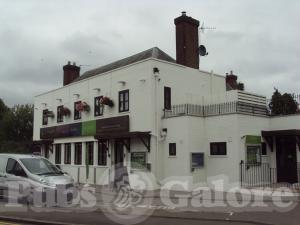 Picture of The Willow