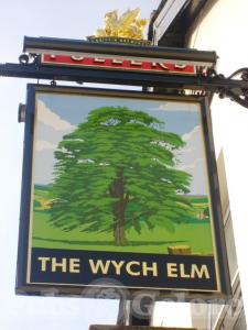 Picture of Wych Elm