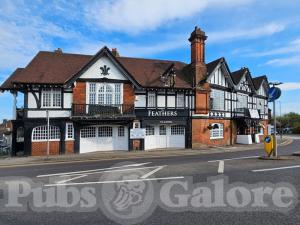 Picture of The Feathers