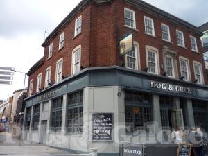 Picture of The Eagle's Nest