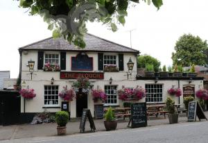 Picture of The Plough