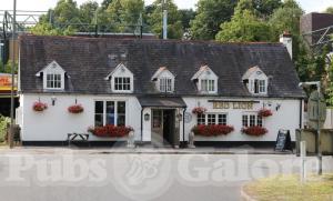 Picture of Red Lion