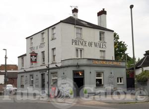 Picture of Prince of Wales
