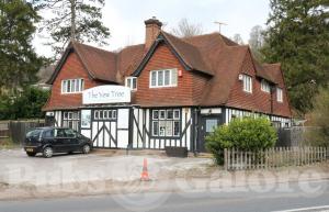 Picture of The Yew Tree