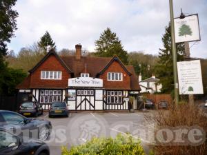 Picture of The Yew Tree