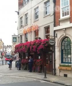 Picture of The Old Ship