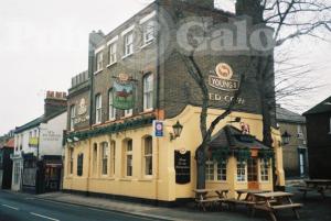 Picture of Red Cow