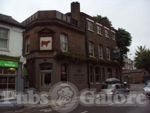 Picture of Red Cow