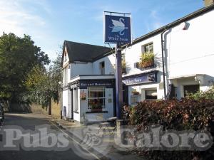 Picture of The White Swan