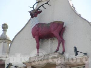 Picture of The Red Deer