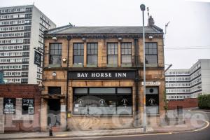 Picture of The Bay Horse