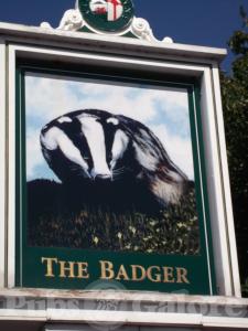 Picture of The Badger
