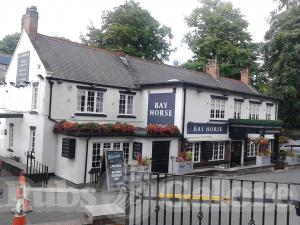 Picture of Bay Horse