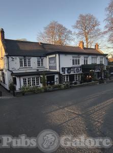 Picture of Bay Horse