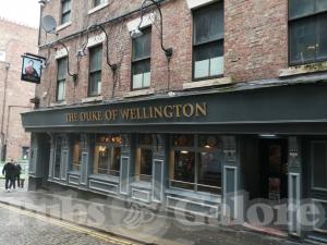 Picture of The Duke of Wellington