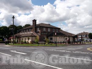 Picture of Peregrine