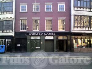 Picture of The Quilted Camel