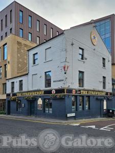 Picture of The Strawberry