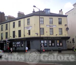 Picture of The Dog and Parrot
