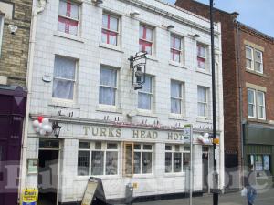 Picture of Turks Head