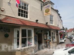 Picture of The Holly Bush