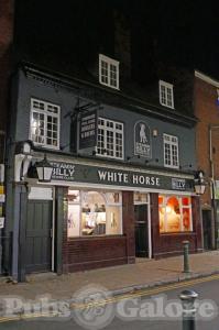 Picture of White Horse