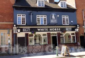 Picture of White Horse