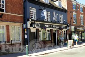 Picture of White Horse