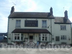 Picture of The White Lion