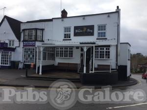 Picture of The Black Dog