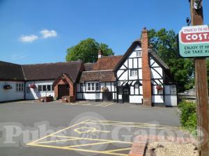 Picture of The White Lion