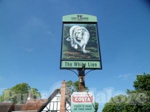 Picture of The White Lion